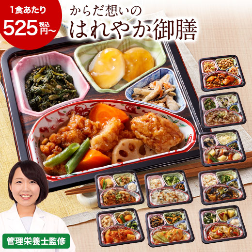 冷凍弁当 健康 おかず 冷凍 食品 からだ想い はれやか御膳 10種 10食 20食 Aセット 弁当 簡単 時短 栄養 保存 バランス 母の日 父の日 ギフト プレゼント 【7560円(税込)以上で送料無料】