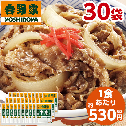 吉野家 大盛 牛丼の具 冷凍 160g 30袋 1食あたり約530円 食品 冷凍食品 おかず レンジ 簡単 お手軽 調理 ストック 【7560円(税込)以上で送料無料】