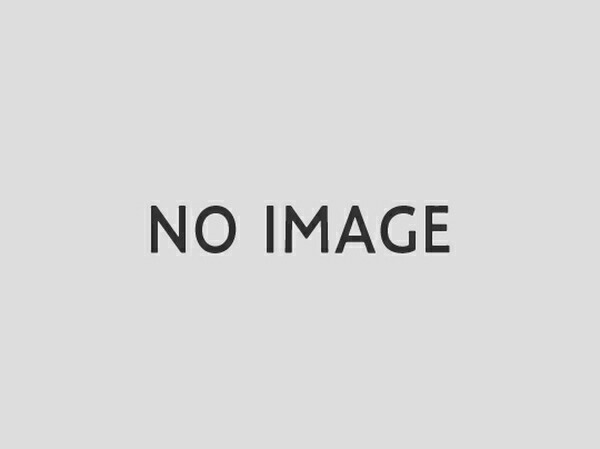 クール アルファード 30系[後期型]フロントフォグランプアタッチメント 1トーン塗装品 Ver5 30A-RSGT KUHL エアロ 外装パーツ