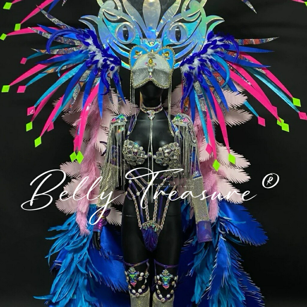 楽天市場】サンバ 衣装 6colorWM-010-202507ステージ衣装 背中の羽根