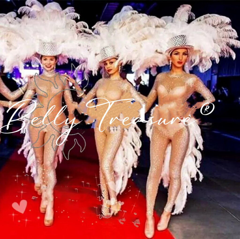 楽天市場】サンバ 衣装 6colorWM-010-202507ステージ衣装 背中の羽根