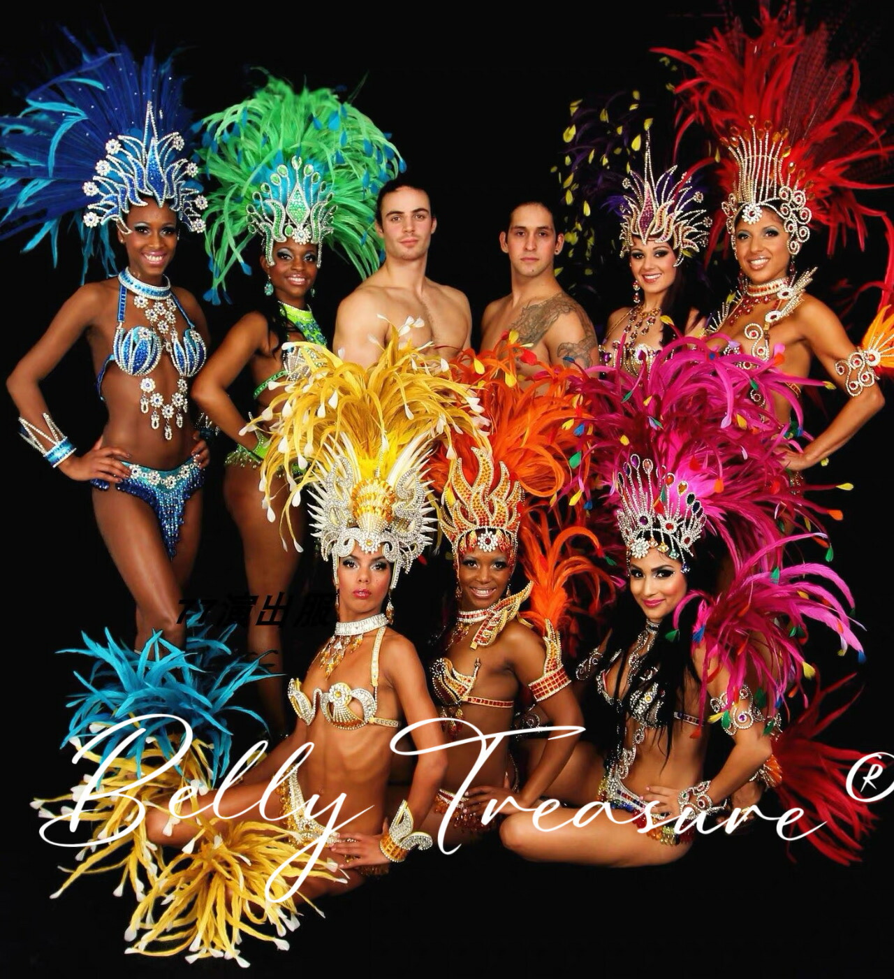 楽天市場】サンバ 衣装 6colorWM-010-202507ステージ衣装 背中の羽根