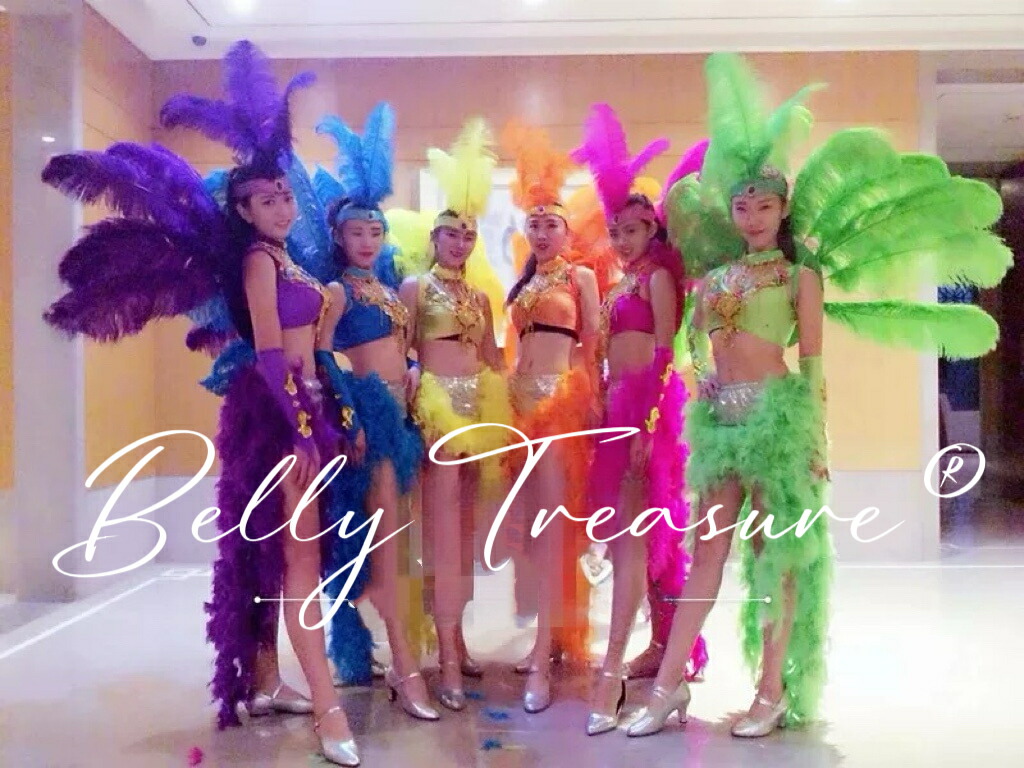 楽天市場】サンバ 背負い羽根WW-002-202505ステージ衣装 背中の羽根