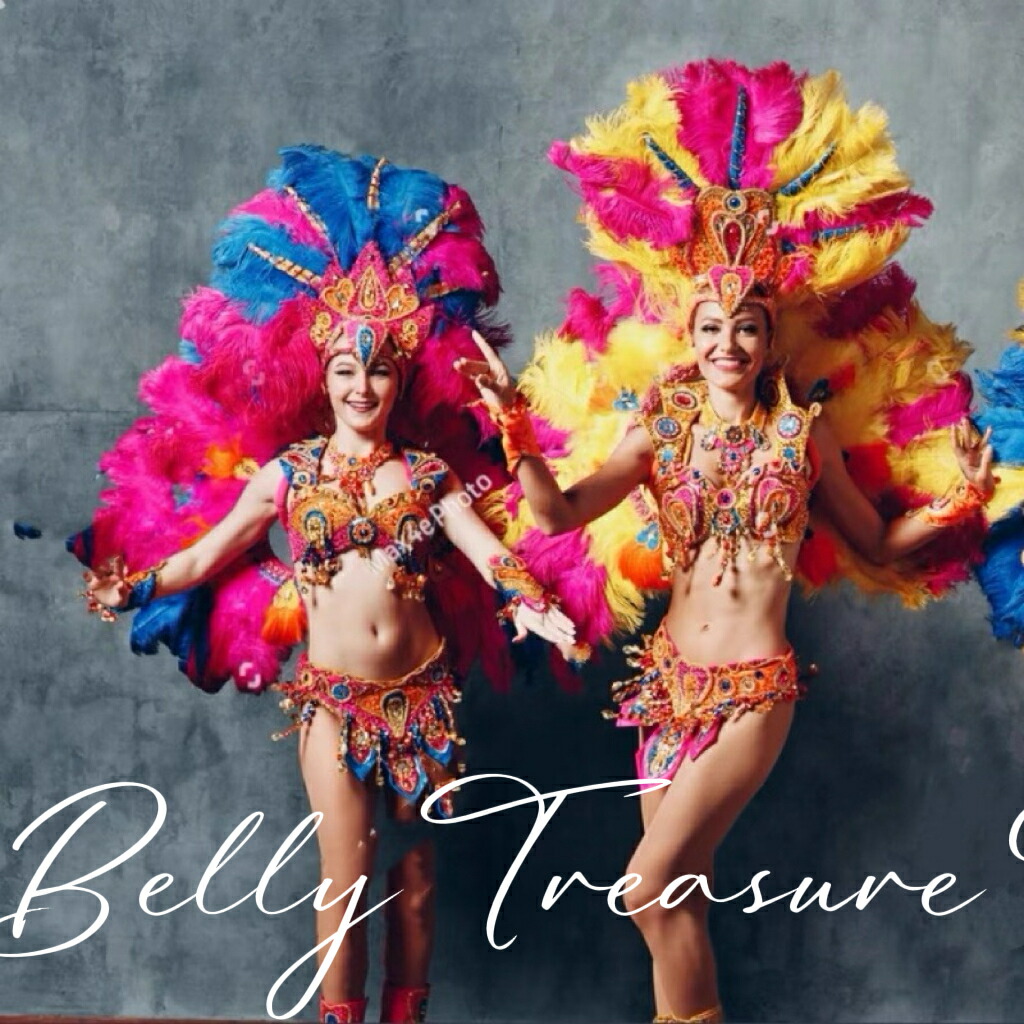 楽天市場】サンバ 背負い羽根WW-002-202505ステージ衣装 背中の