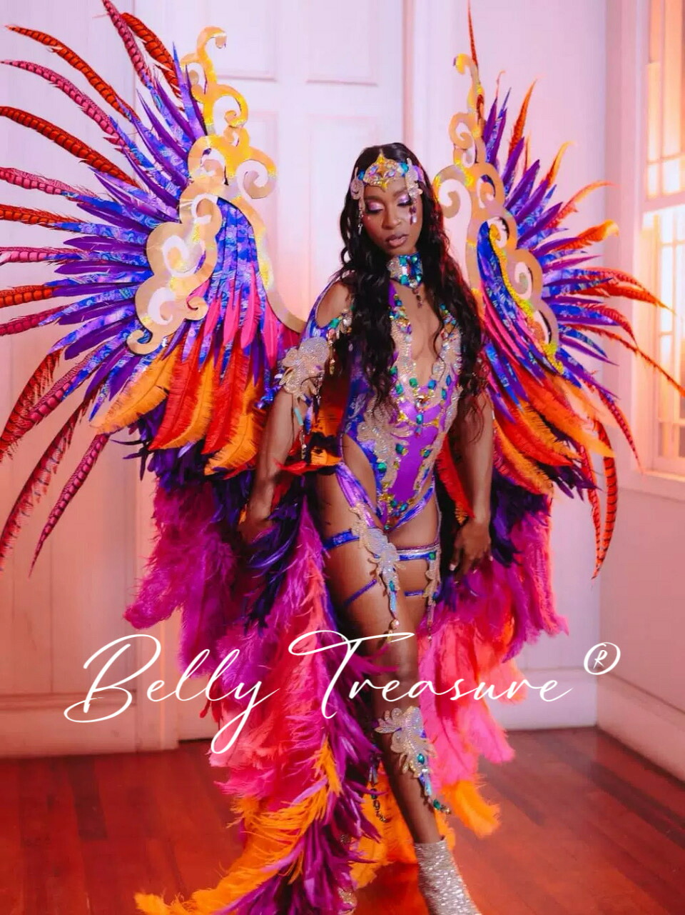 楽天市場】サンバ 背負い羽根WW-002-202505ステージ衣装 背中の羽根