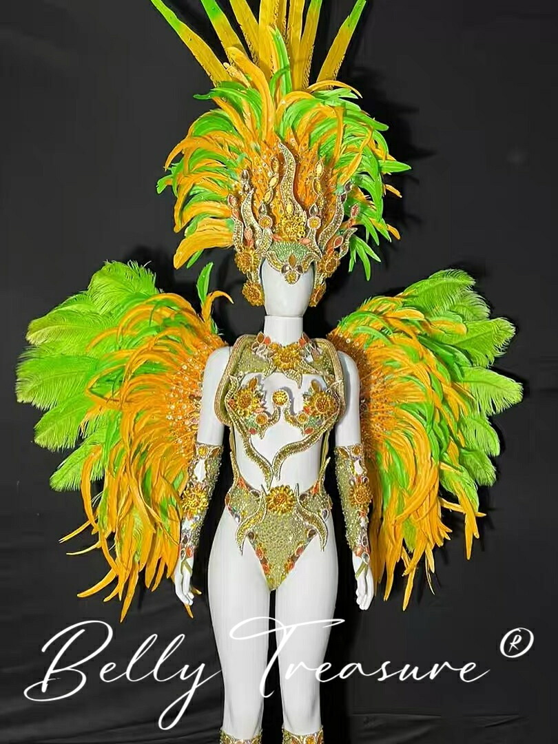 楽天市場】サンバ 衣装 6colorWM-010-202507ステージ衣装 背中の羽根