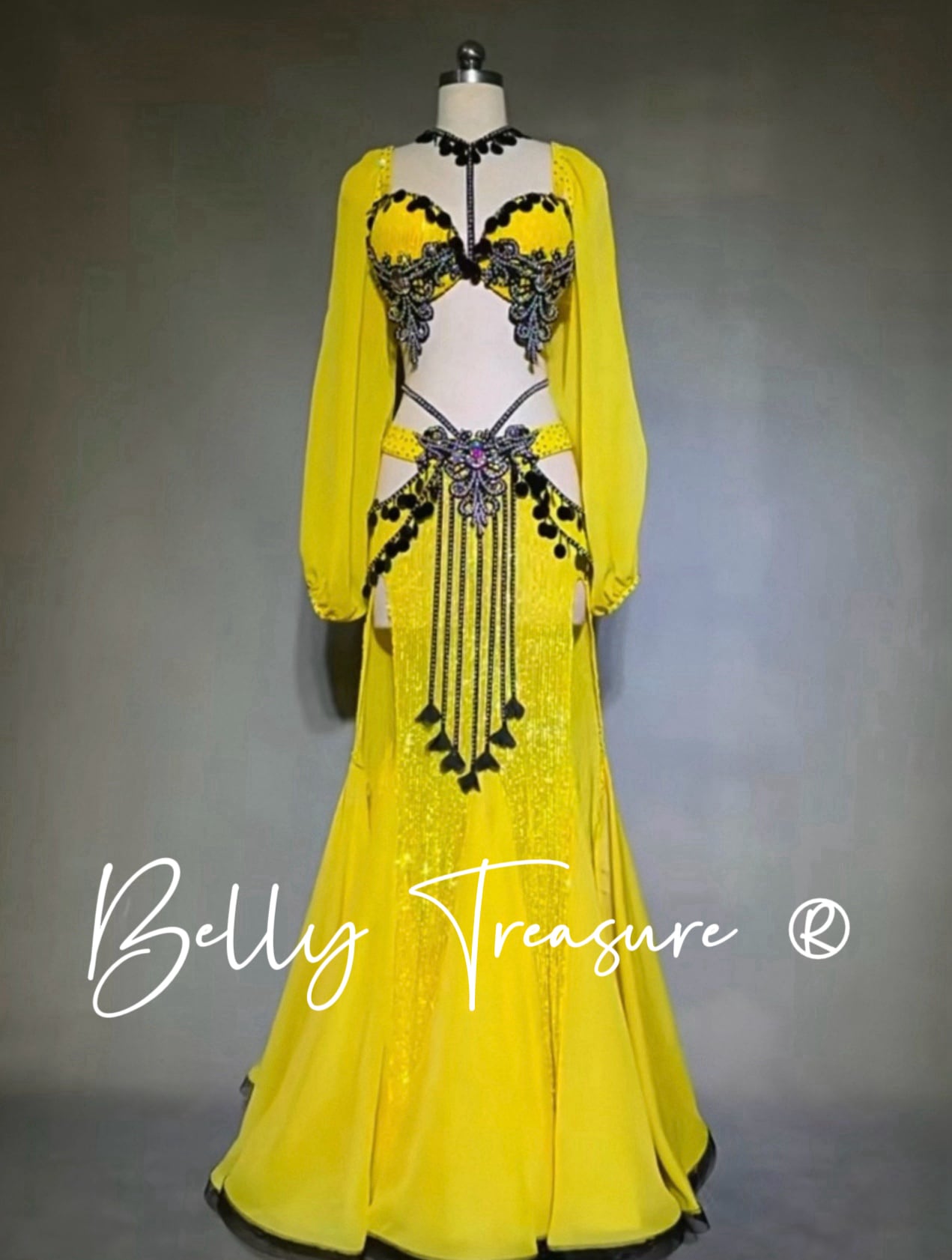 ベリーダンス オーダーメイド衣装 YWQQ Y225 202603|Belly Treasure 店