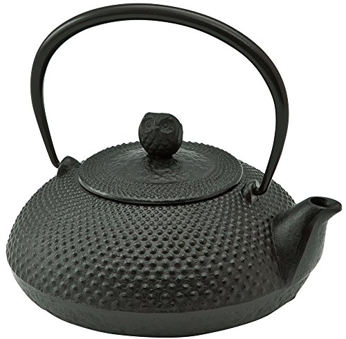 池永鉄工(IkenagaIronWorks)鉄瓶0.6L南部鉄器やかん鉄分補給宝寿日本製