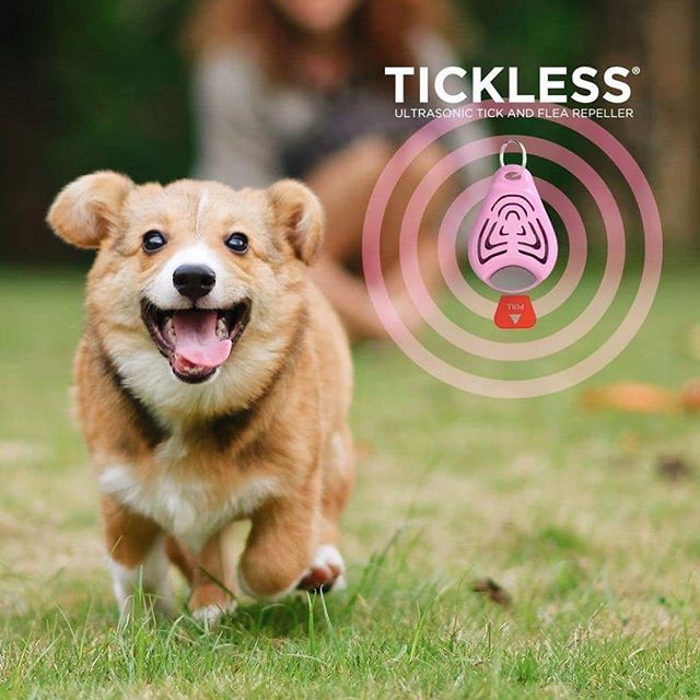 楽天市場 Tickless Pet チックレス ペット 愛犬 愛猫をダニ ノミから守ろう 薬を使わない ペットにやさしい おさんぽがもっと楽しくなる 超音波 アウトドア 首輪 アクセサリー 犬 猫 Bempartner