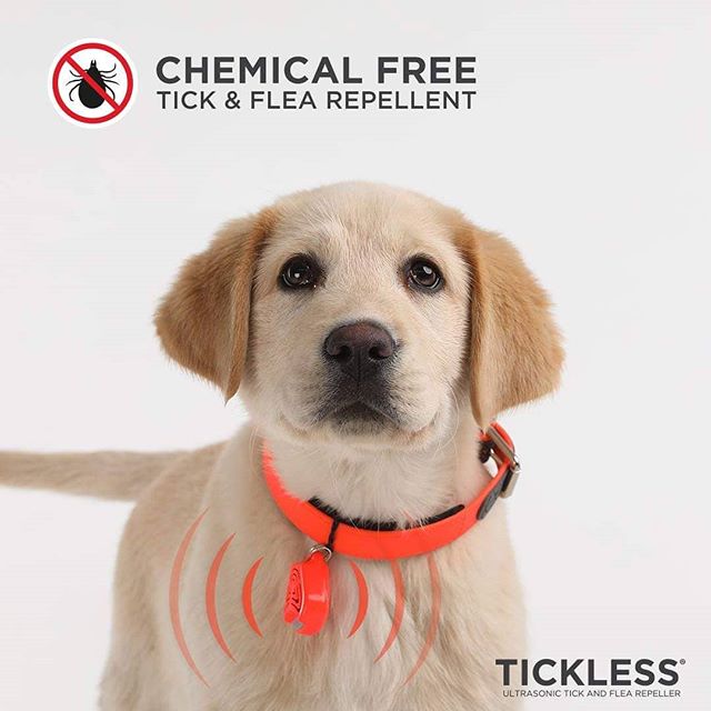 楽天市場 Tickless Pet チックレス ペット 愛犬 愛猫をダニ ノミから守ろう 薬を使わない ペットにやさしい おさんぽがもっと楽しくなる 超音波 アウトドア 首輪 アクセサリー 犬 猫 Bempartner