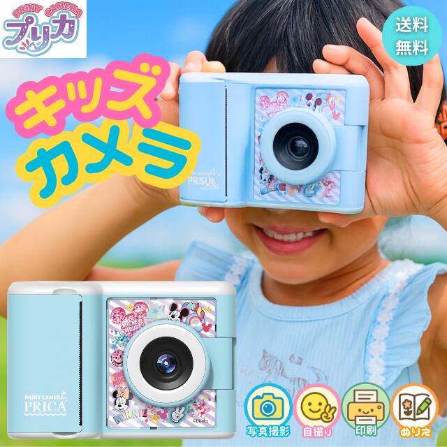 楽天市場】【送料無料】 セガフェイブ PRINT CAMERA プリカ サンリオ