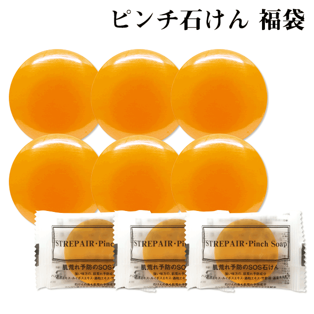 保障できる ストレピア ピンチ石けん福袋 手作り お守り石けん 1g 6個 お試しサイズ 10g ３個 セット Strepair Strepair ヒートショックプロテイン Hsp 年齢肌 乾燥肌 敏感肌 40代 50代 60代 温活 保証書付 Www Faan Gov Ng