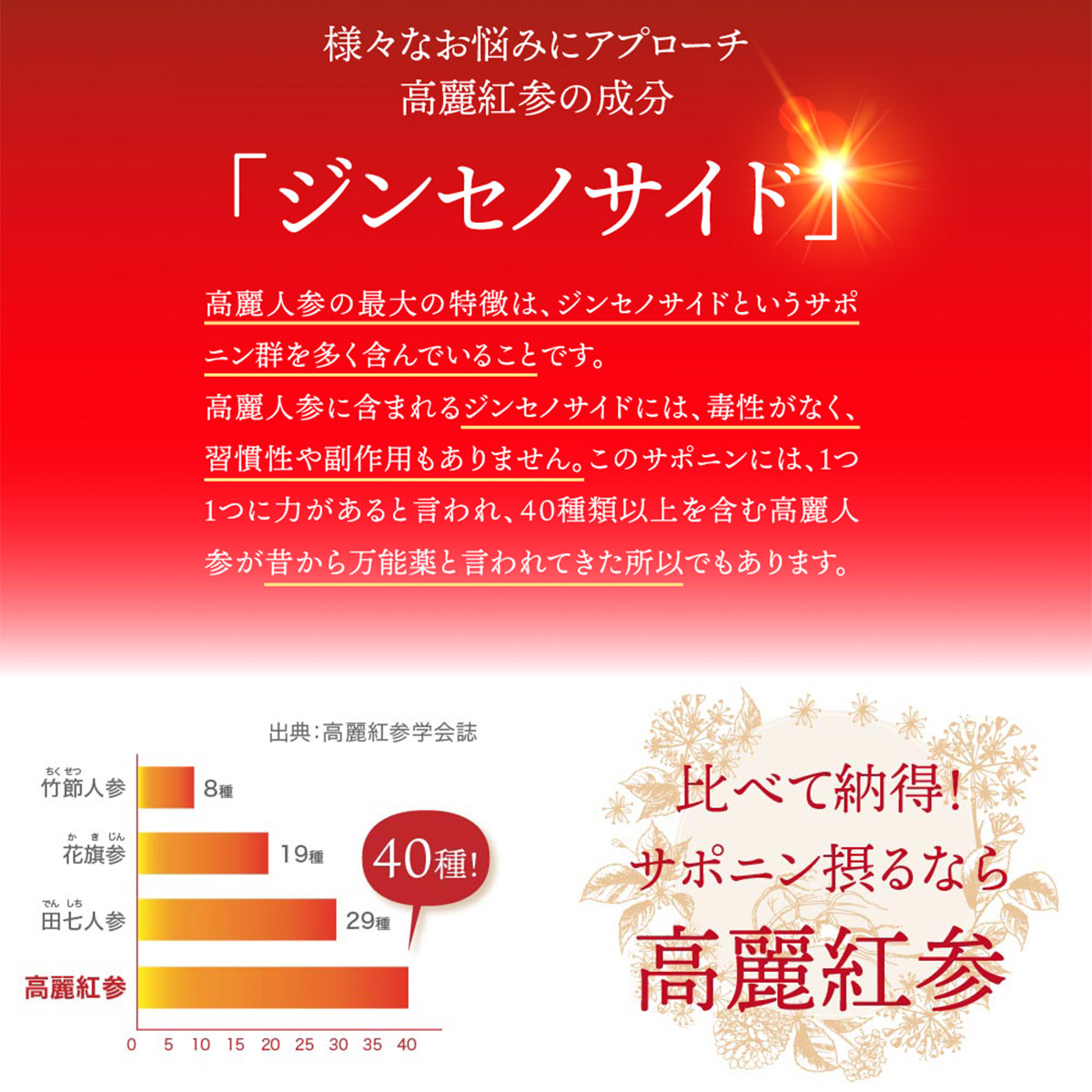 高麗紅参濃縮液 30gx3個入 送料無料 【 定期購入 】 高麗人参100%濃縮 紅参エキス 高麗人参エキス 高麗人参 韓国 6年根紅参 健康 健康食品 女性 美容 体温アップ 疲労回復 更年期 ダイエット 栄養 サプリメント サプリ お取り寄せ 食品