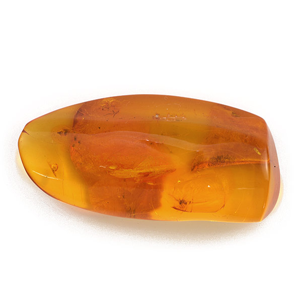 【ポイント10倍】 ☆琥珀（虫入り）14.4ct１個限定製品オーダー可能※こちらのルースを使用してのオーダー・セミオーダー・カスタマイズもお受けできます。 7pev｜ベーネ・ベーネ
