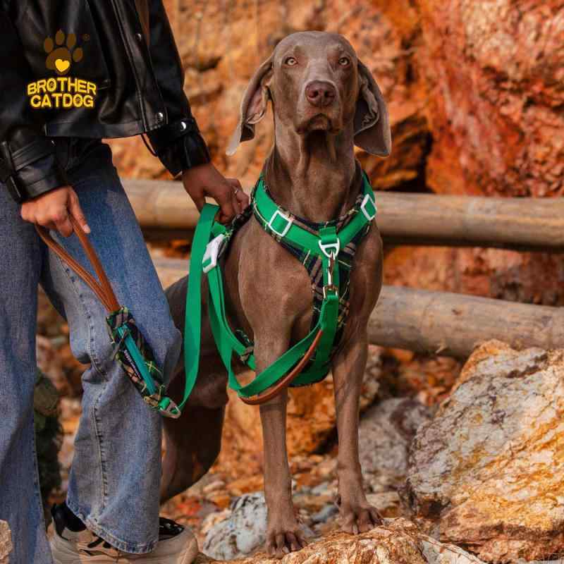 大型犬用 馬具 胸背式 逃げ失せる押しとどめる 伸縮先んじる 愛玩動物 ほっつき歩く用 出で立つより良い 耐久性 好いたらしい相応う