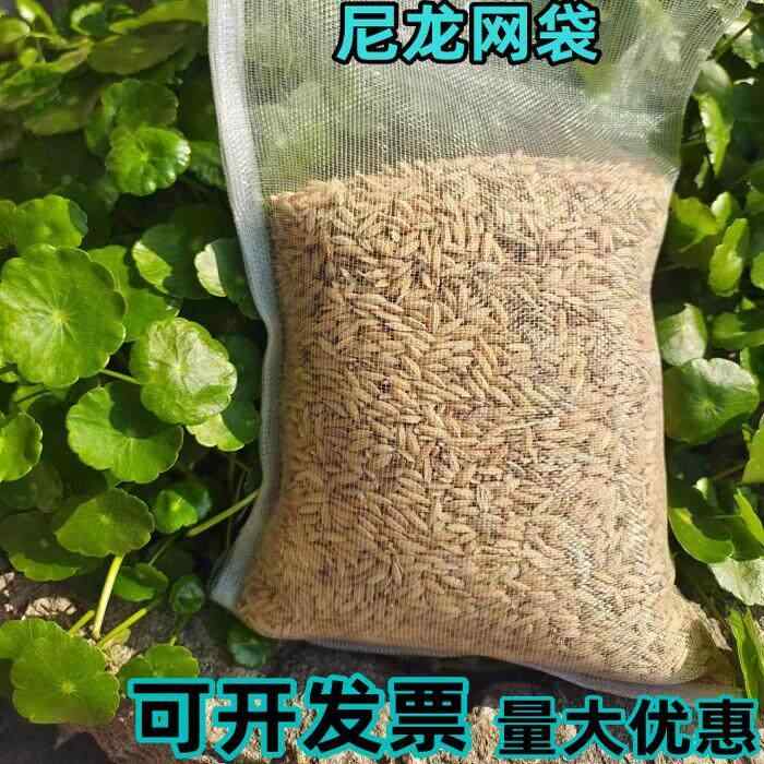 農業用 ナイロン 網袋 稲 発芽促進 果物 防虫 収穫 包装 魚用 メッシュ ネットバッグ 軽量 耐久性 通気性 収納 便利 用途 多機能｜ベネフィメントショップ