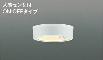 ★☆お買い得☆人気商品☆★ コイズミ照明 (KOIZUMI) 防雨型シーリングライト AU50488 おしゃれ モダン 【工事必要型】