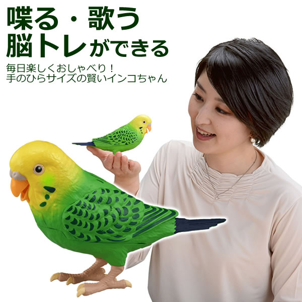 楽天市場 電池付き おしゃべり おもちゃ 玩具 毎日おしゃべり 天才インコちゃん タカラトミー 脳トレ 敬老の日 の贈り物に 祖父 祖母 一人暮らしの おじいちゃん おばあちゃん へのプレゼントにおすすめ みつはぴ みつはぴ