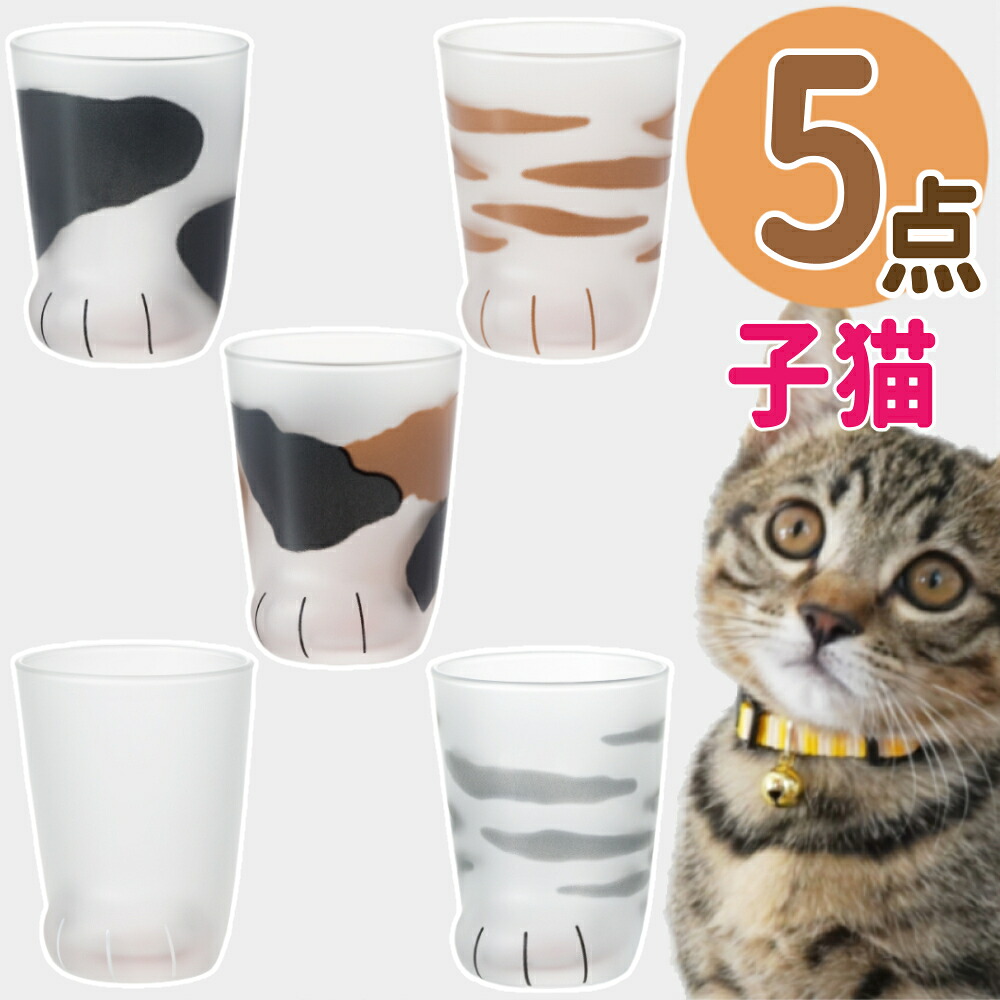 ここねこ 子猫 グラス 5点セット アデリア coconeco 猫グラス こねこ ミケ トラ ブチ ムジ サバトラ 230ml 猫グッズ ネコ ねこ 猫足 肉球 可愛い かわいい ご褒美 タンブラー コップ ギフト プレゼント 食洗機不可 (ラッピング不可)(熨斗対応不可)（.QL）