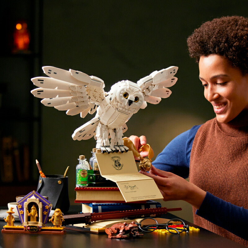 流通限定商品 レゴ Lego ハリー ポッター ホグワーツ のアイコン コレクターズエディション おもちゃ 玩具 ブロック 男の子 女の子 おうち時間 コレクション グッズ フィギュア キャラクター 映画 動物 プレゼント ギフト 誕生日 クリスマス Chelsesgreenhouse Com