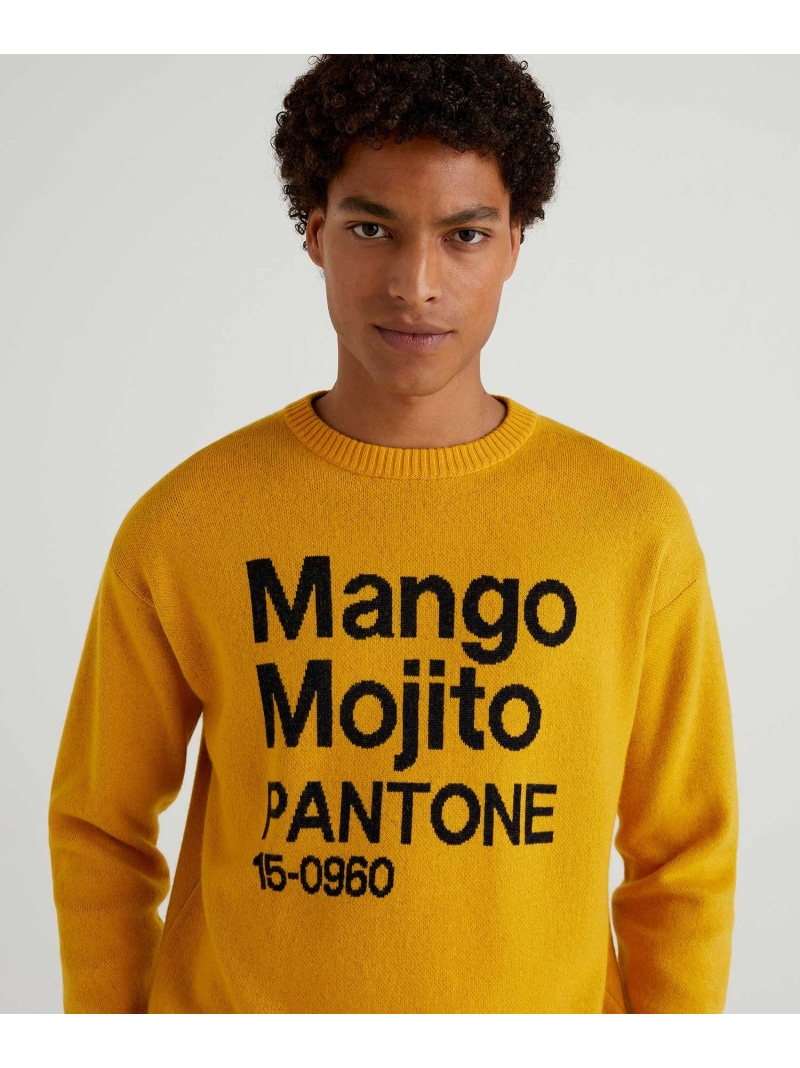 【楽天市場】【SALE／60OFF】(M)クルーネックデザインニット・セーター (UNITED COLORS OF