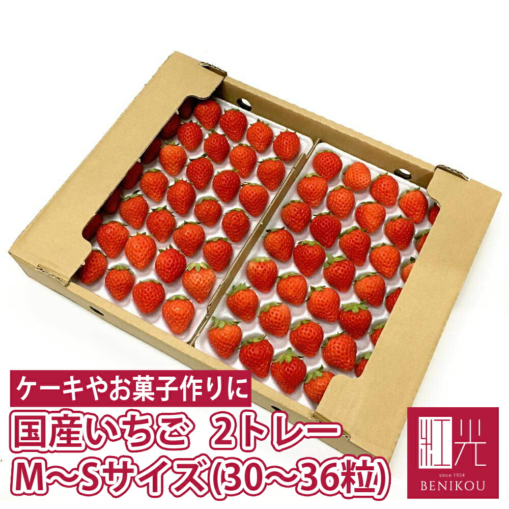 楽天市場】国産いちご 【M～Sサイズ (30粒〜36粒) 約250g×1