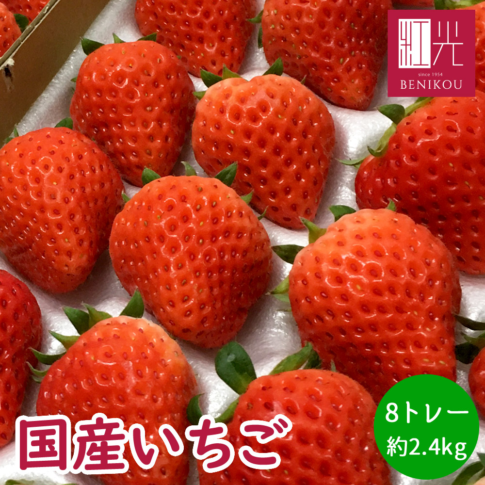 【楽天市場】国産いちご 【2L〜Mサイズ (20〜30粒) 約250g×2 