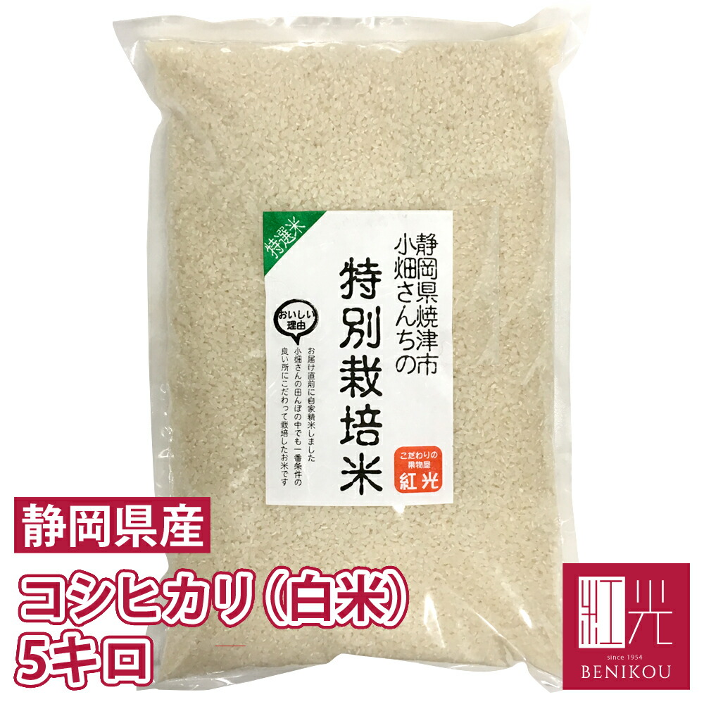 maoですミルキークイーン・コシヒカリ 楽天市場】【予約・☆新米☆2025年9月上旬～中旬頃出荷開始予定