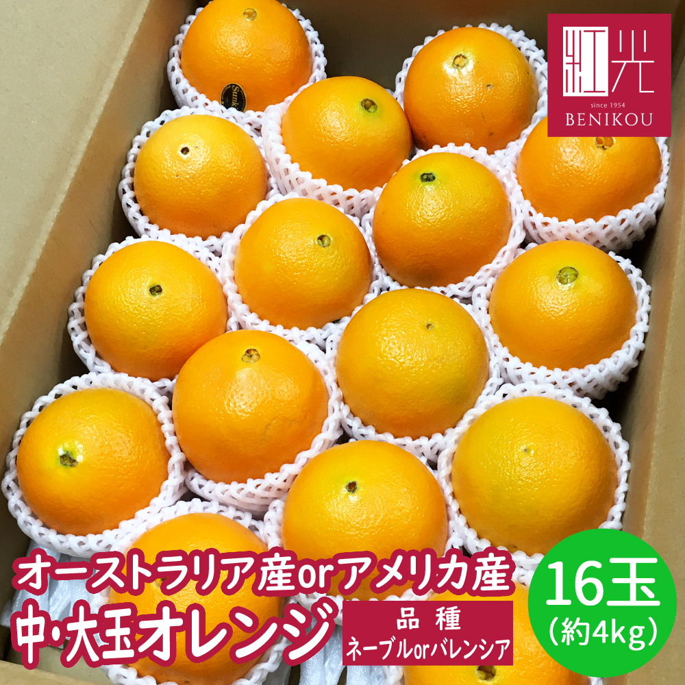 訳あり2箱セット 国産バレンシアオレンジ M-L 4kg 箱何でも良い方 訳あり2箱セット 国産バレンシアオレンジ M-L 4kg x2箱何でも