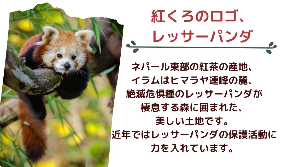 【楽天市場】マサラチャイ・スペシャルティーバッグ 10個 リーフパウダー 100gチャイ チャイティーラテ アイスチャイ アイスティー