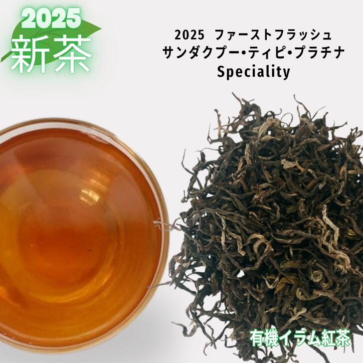 2025 ネパール紅茶 サンダクプル ティピ プラチナ ファーストフラッシュ リーフ ティーバッグ 紅茶 茶葉 紅茶専門店 紅くろ 美味しい紅茶 ネパール イラムティー 無農薬 レッサーパンダ 有機紅茶 オーガニック 春摘み ダージリン|紅茶専門店 紅くろ