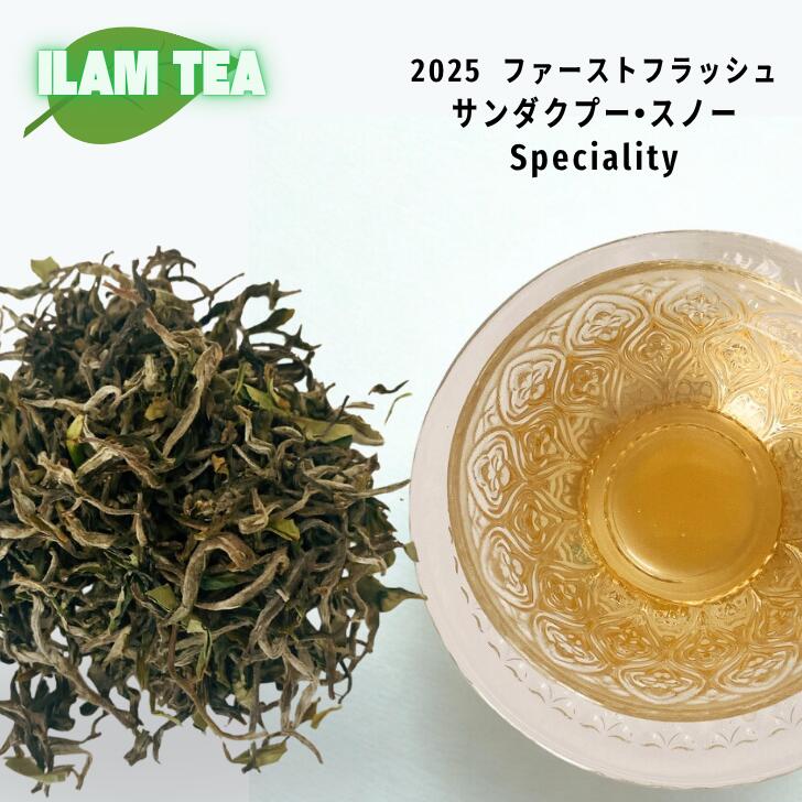 2025 ネパールティー サンダクプル スノー ファーストフラッシュ リーフ ティーバッグ 紅茶 茶葉 紅茶専門店 紅くろ 美味しい紅茶 ネパール イラムティー 無農薬 レッサーパンダ 有機紅茶　オーガニック 春摘み ダージリン｜紅茶専門店 紅くろ