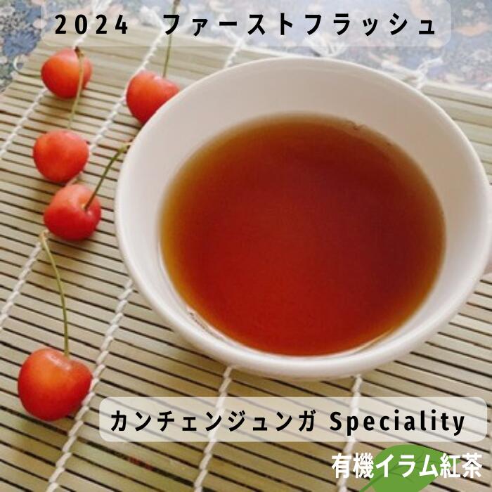 紅茶 ネパールティー カンチェンジュンガ 2024 ファーストフラッシュ 紅茶 茶葉 ティーバッグ リーフ イラム紅茶 紅茶専門店 紅くろ 美味しい レッサーパンダ ネパール紅茶 有機 香り オーガニック ダージリン 中国茶