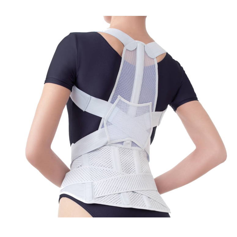 お医者さんの腰から正す姿勢ベルト　M-L/L-LL/LL-3L（アルファックス）サポ―ター 男女兼用 手洗い可 日本製【送料無料】 健康グッズ 生活支援 矯正 背すじ 腰痛予防 大きいサイズ 腰 肩 首 姿勢矯正 背中 美しい姿勢 しっかりタイプ