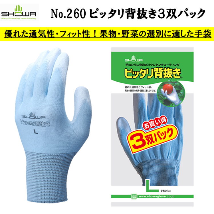 楽天市場】【即日発送可】 【ネコポス対応2パック可】 ピッタリ背抜き3