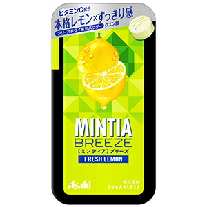 ミンティア様 b106-91-1.jpg
