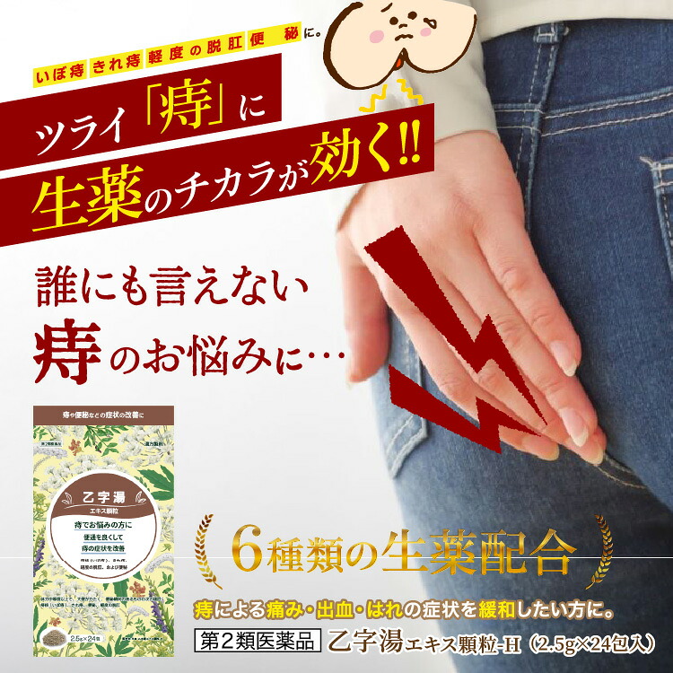 【第2類医薬品】本草乙字湯エキス顆粒-H 2.5g×24包