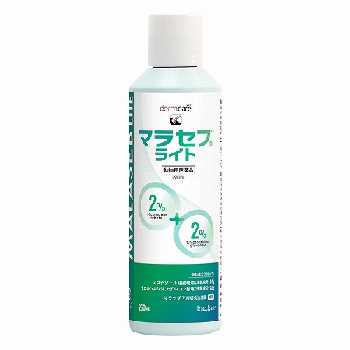 夏のお苦しむこと大説き明かす！特集 - 意気ごみ症 紫外線 汗･ニオイ 冷え性 -