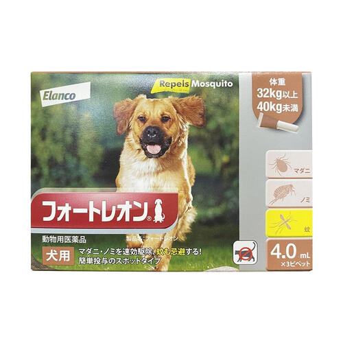 夏のお苦しむこと大説き明かす！特集 - 意気ごみ症 紫外線 汗･ニオイ 冷え性 -