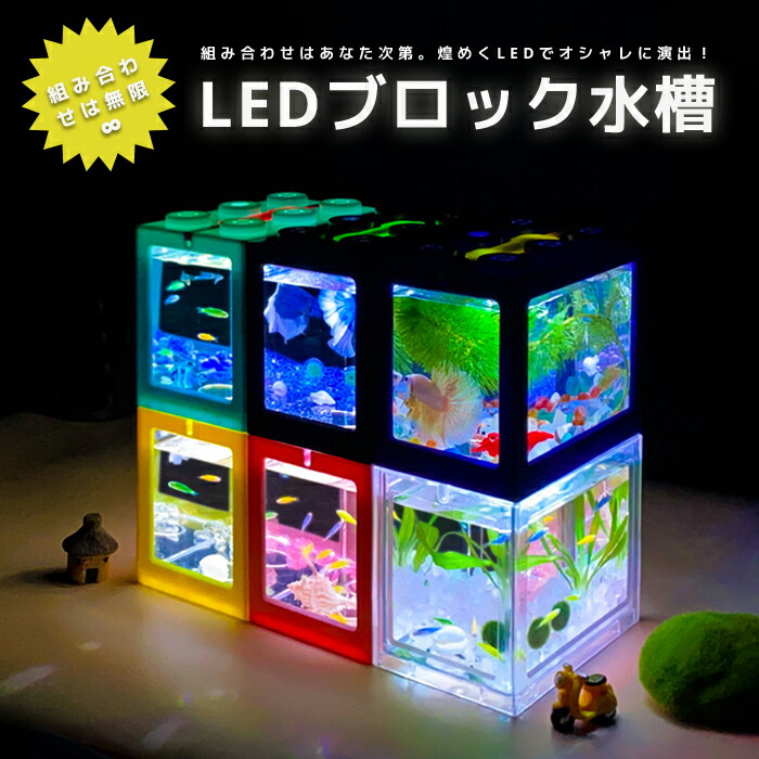 楽天市場】新 LEDライト付きブロック水槽セット アクアリウム