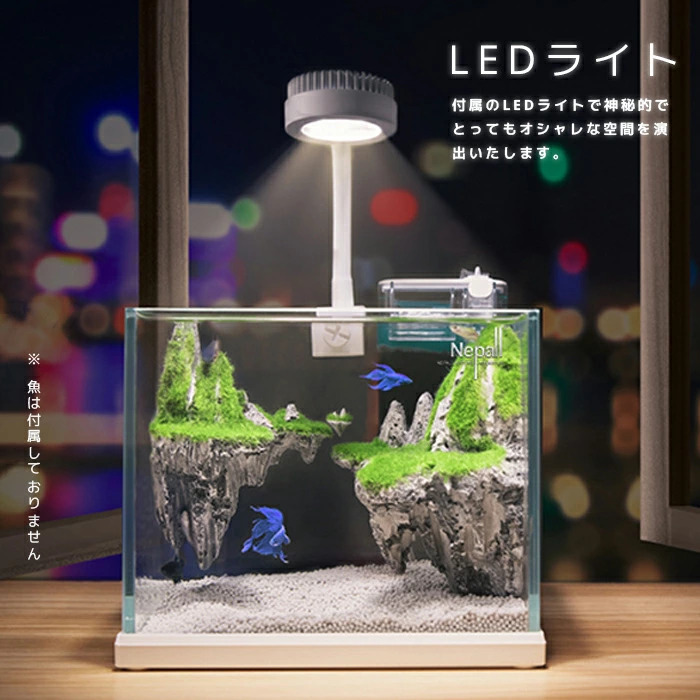 予約品 7月上旬予約品 送料無料 Ledライト付き水槽 アクアリウム フィルターポンプ付き 天空の城led照明 金魚鉢 卓上 Aquarium すいそう おしゃれ かわいい オブジェ ガラス 円柱 丸形 金魚 メダカ 熱帯魚 魚は付属しておりません Butlerchimneys Com