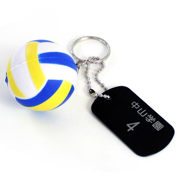 楽天市場】【ポイント2倍】名入れ 記念品 部活 バレーボール PU ボール