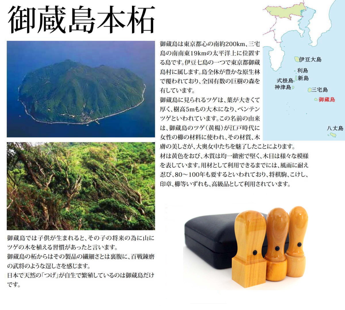 法人印鑑 3本セット ケース付き キャンペーン 御蔵島 天然 本柘 天丸 丸印 18ｍｍ 16.5ｍｍ 代表印 銀行印 角印 21ｍｍ ハイレザーケース 法人 印鑑 ケース付セット ニス塗り 法人印鑑セット 会社設立 コンパクトセット 会社印 会社実印 役職印 プレゼントやギフト 送料無料｜便利工房なかやま