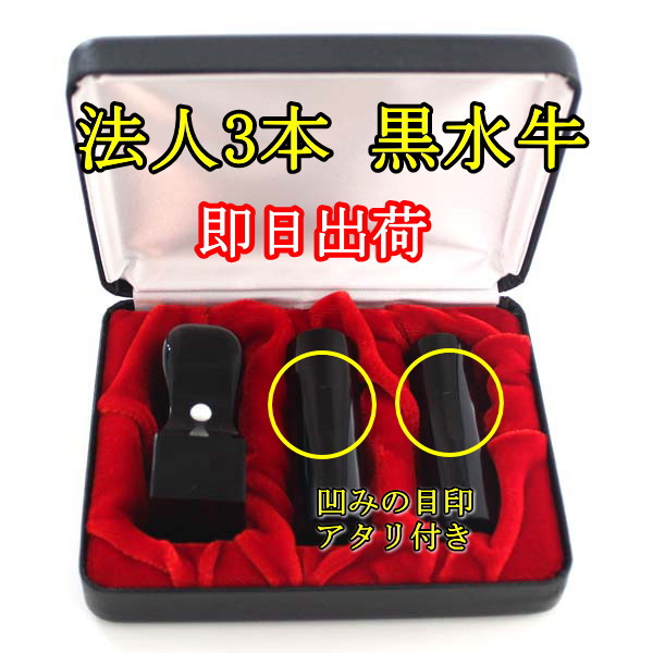 【100円クーポン中】法人印鑑 キャンペーン 即日配送 法人印鑑セット 会社設立 コンパクトセット 3本 黒水牛 印鑑 実印 銀行印 丸印 寸胴 18mm 16.5mm 角印 21mm ハイレザー 3本収納 印鑑ケース 会社印鑑 旧字 カタカナ ローマ字 作成 プレゼント ギフト セット 送料無料