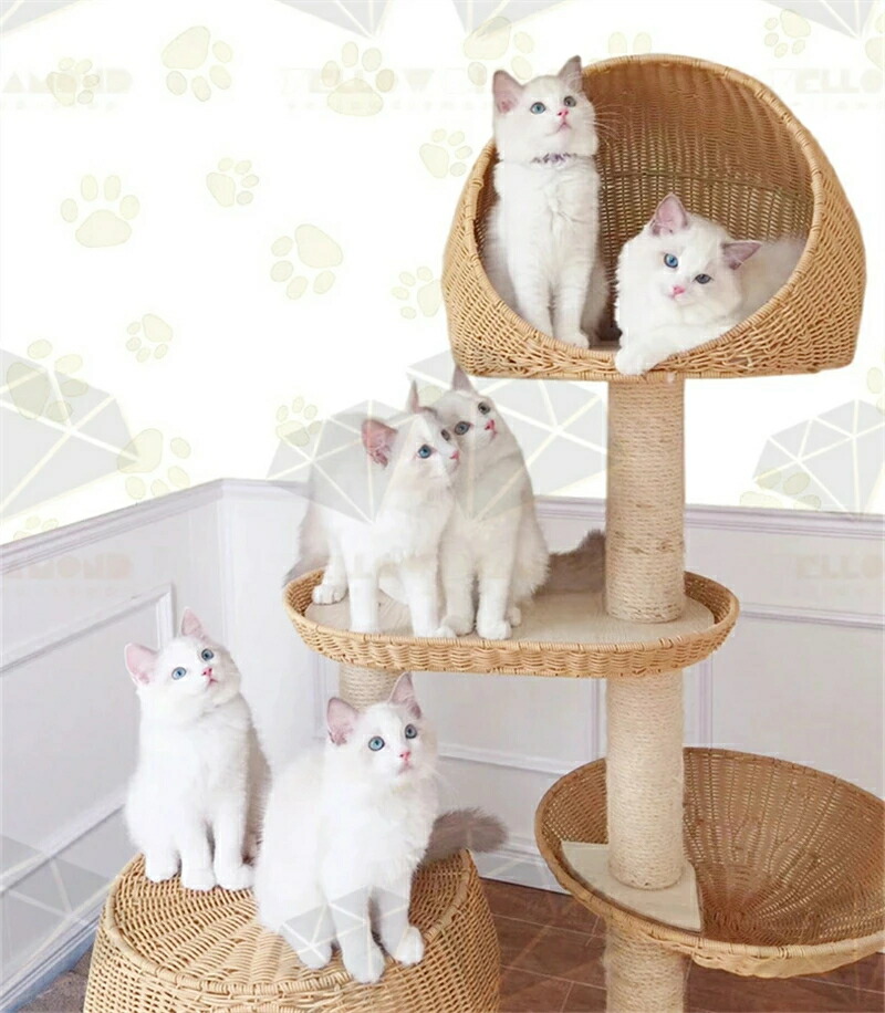 キャットタワー 純一無雑材 子ネコ 愛くるしい 大型猫 中型猫 納める 調度品 猫住み家 上滑り打ちきり 高さ160珊 愛玩動物 愛玩動物グッズ 猫装置 キャットタワー 据え付け 今めかしい 大型猫 多頭飼い 爪研ぎ 爪とぎ 兼ね合い 牢固たる 運動すること機能不全 省歩み 飾り気の無い精神的な統合 高品質 耐久性 猫 高閣 猫高閣