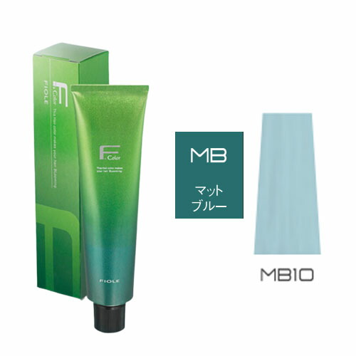 フィヨーレBLカラー　28本セット　新品未使用 FIOLE フィヨーレ BLカラー BV10 120G : BeautyPro Magica