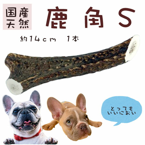 鹿の角 長さ約14cm 7 9更新 00円ポッキリ いたずら予防 デンタルケア 国産 市場 犬のおもちゃ 犬のストレス解消 犬の噛みぐせ 甘噛み防止 送料無料 通販 鹿角 大特価 鹿角