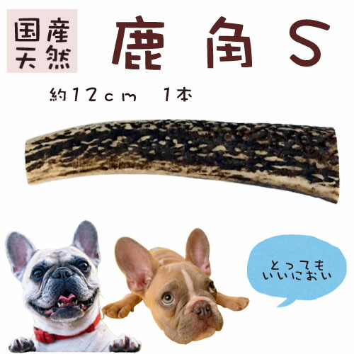 21年レディースファッション福袋 鹿の角 長さ約12cm 鹿角 国産 犬のおもちゃ いたずら予防 犬の噛みぐせ 犬のストレス解消 甘噛み防止 デンタルケア 00円ポッキリ 送料無料 楽天市場 通販 7 9更新 Whitesforracialequity Org