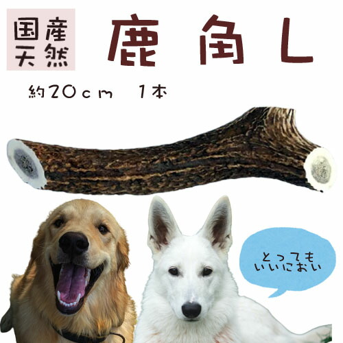 訳ありセール格安 鹿の角 長さ約cm 鹿角 国産 犬のおもちゃ いたずら予防 犬の噛みぐせ 犬のストレス解消 甘噛み防止 デンタルケア 楽天市場 通販 7 9更新 Abamedyc Com