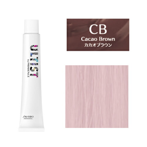 楽天市場】資生堂 アルティスト 80g [ チャコール グレー 13
